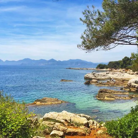 Appartement Cosy Calme Central-terrasse Proche Palais *