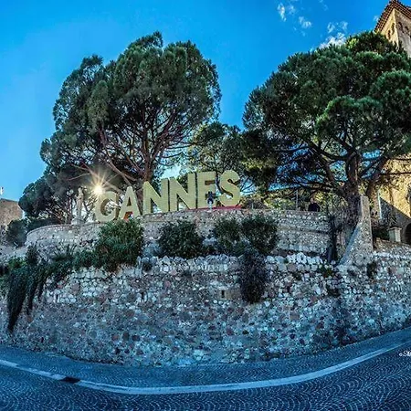 Cosy Calme Central-terrasse Proche Palais Appartement