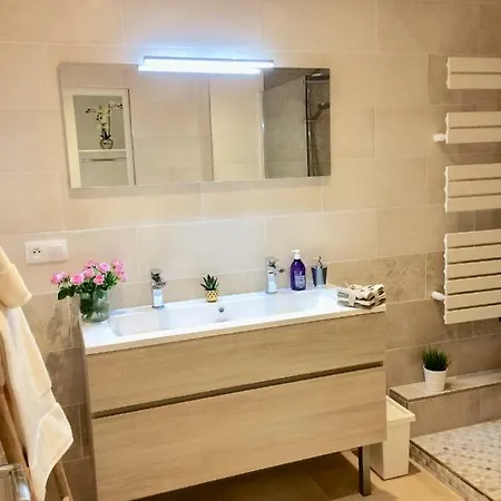 Cosy Calme Central-terrasse Proche Palais Appartement *