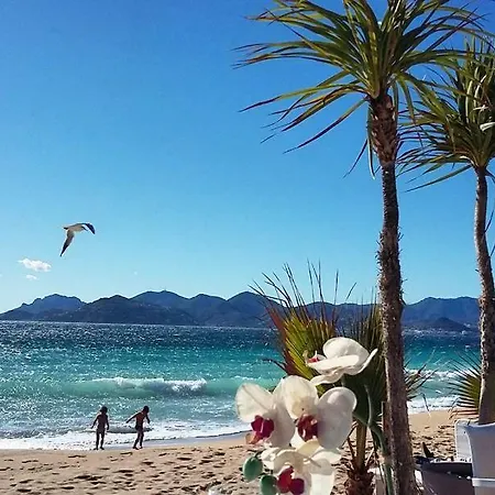 Cosy Calme Central-terrasse Proche Palais