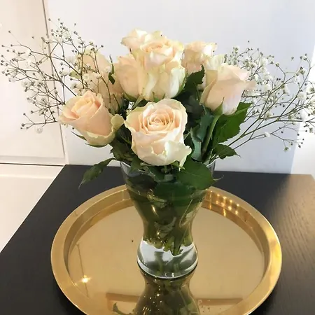 Appartement Cosy Calme Central-terrasse Proche Palais Cannes