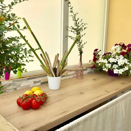 Cosy Calme Central-terrasse Proche Palais Apartment