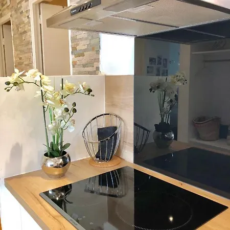 Cosy Calme Central-terrasse Proche Palais Apartment *