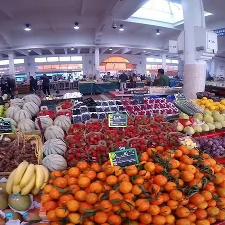 Cosy Calme Central-terrasse Proche Palais Apartman Cannes